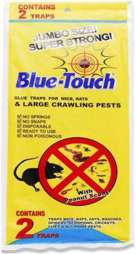 32216 PE Large Glue Mouse Traps - 144 Pack (2 Traps per Pack) | Effective Rodent Control for Homes, Warehouses & Restaurants