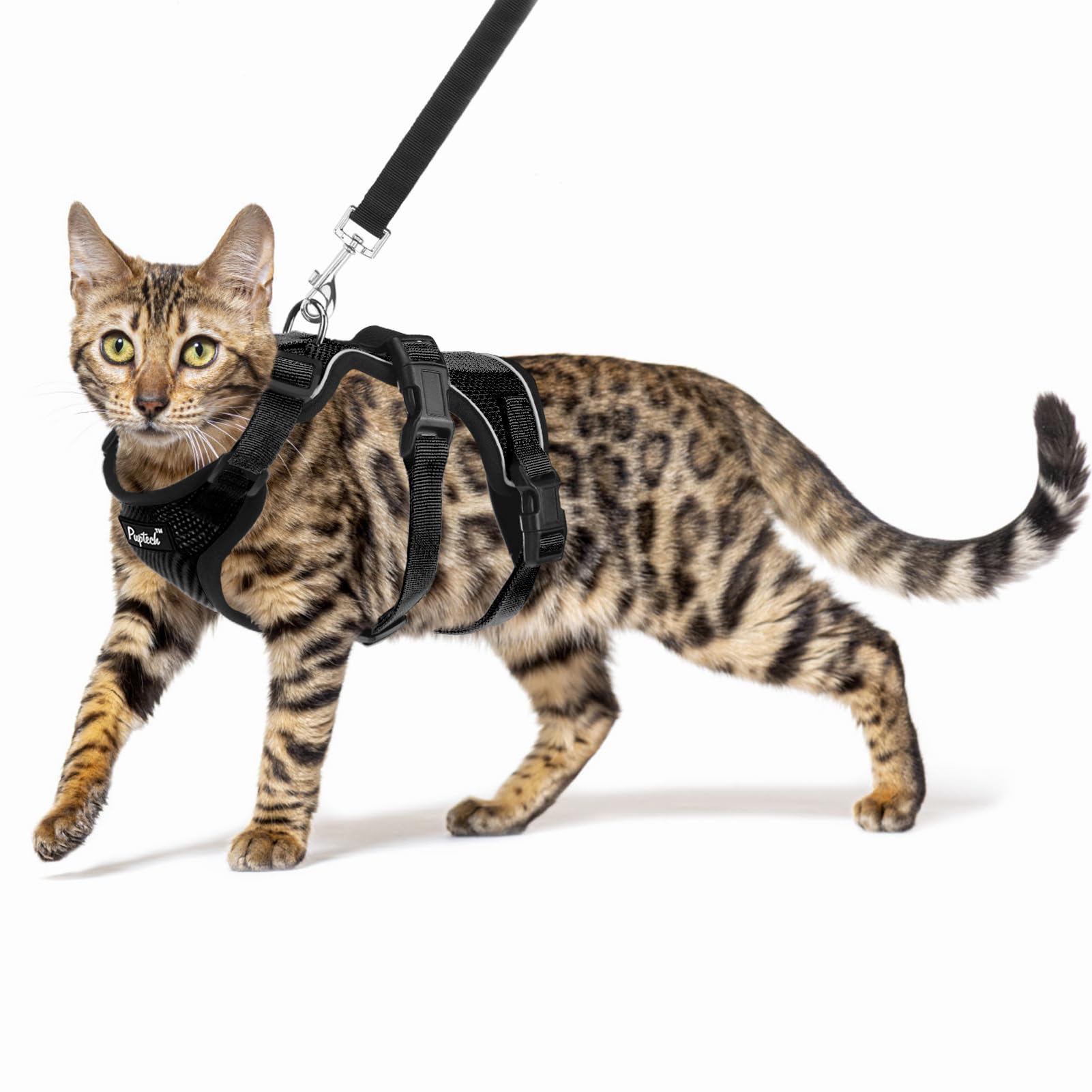 PUPTECK Escape-Proof Cat Harness & Leash Set - Adjustable Breathable Mesh Vest for Cats, Puppies & Small Pets - Reflective Night Safety (Medium, Black) - Perfect for Outdoor Walks, Park Adventures & Vet Visits