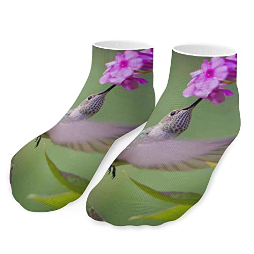 Women's Low Cut No Show Socks - Cute Ankle Socks for Running, Gym & Casual Wear - Breathable Athletic Socks for Women & Girls - Perfect Gift Idea for Sports Lovers