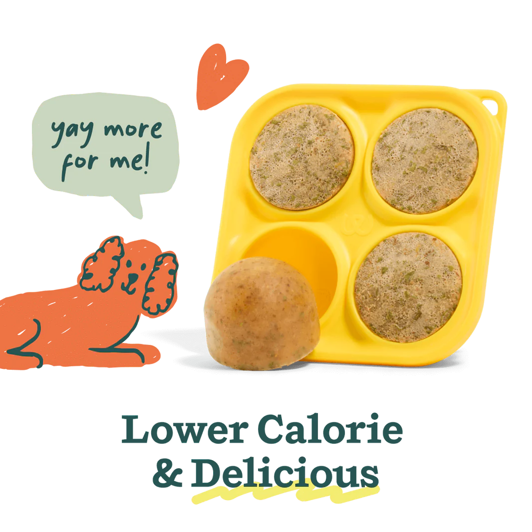 Bacon & Cheese Pupsicle Pops for Dogs - Homemade Frozen Dog Treats | Perfect for Summer Cooling, Training Rewards & Puppy Teething Relief