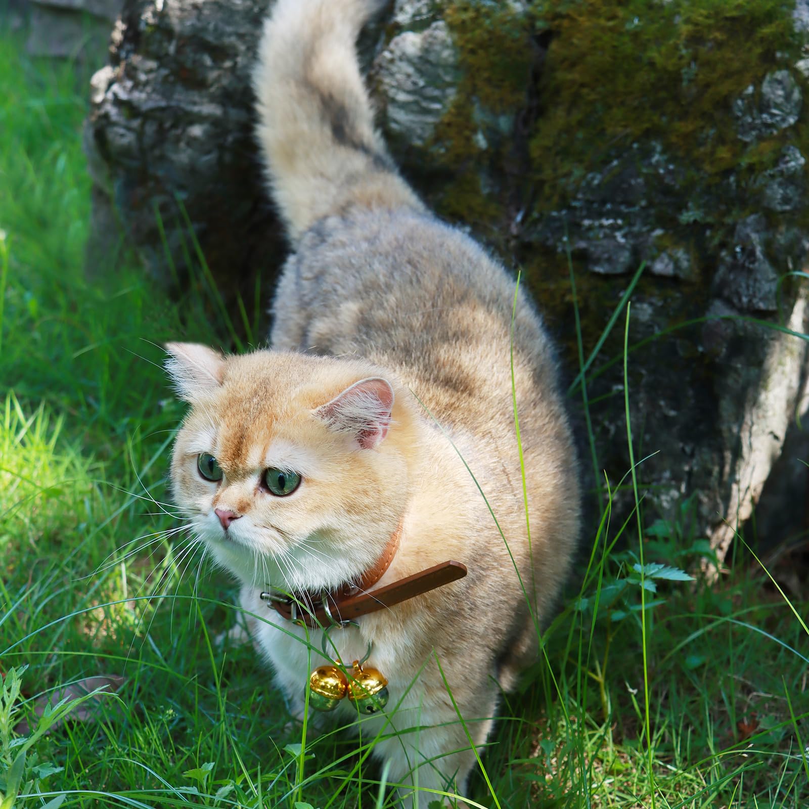 Copper Cat & Dog Collar Bells - Pet Tracker Training for Small Medium Large Dogs - Outdoor Adventure Safety