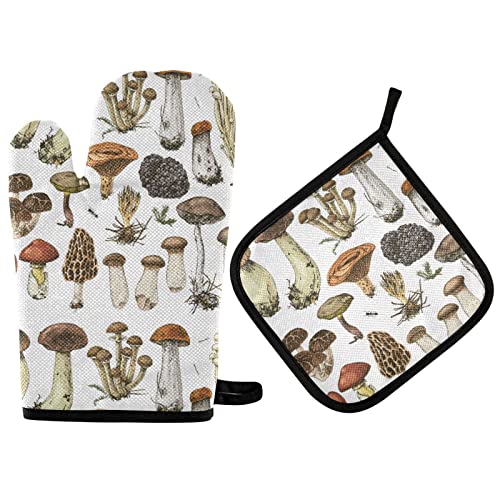 Mushrooms01