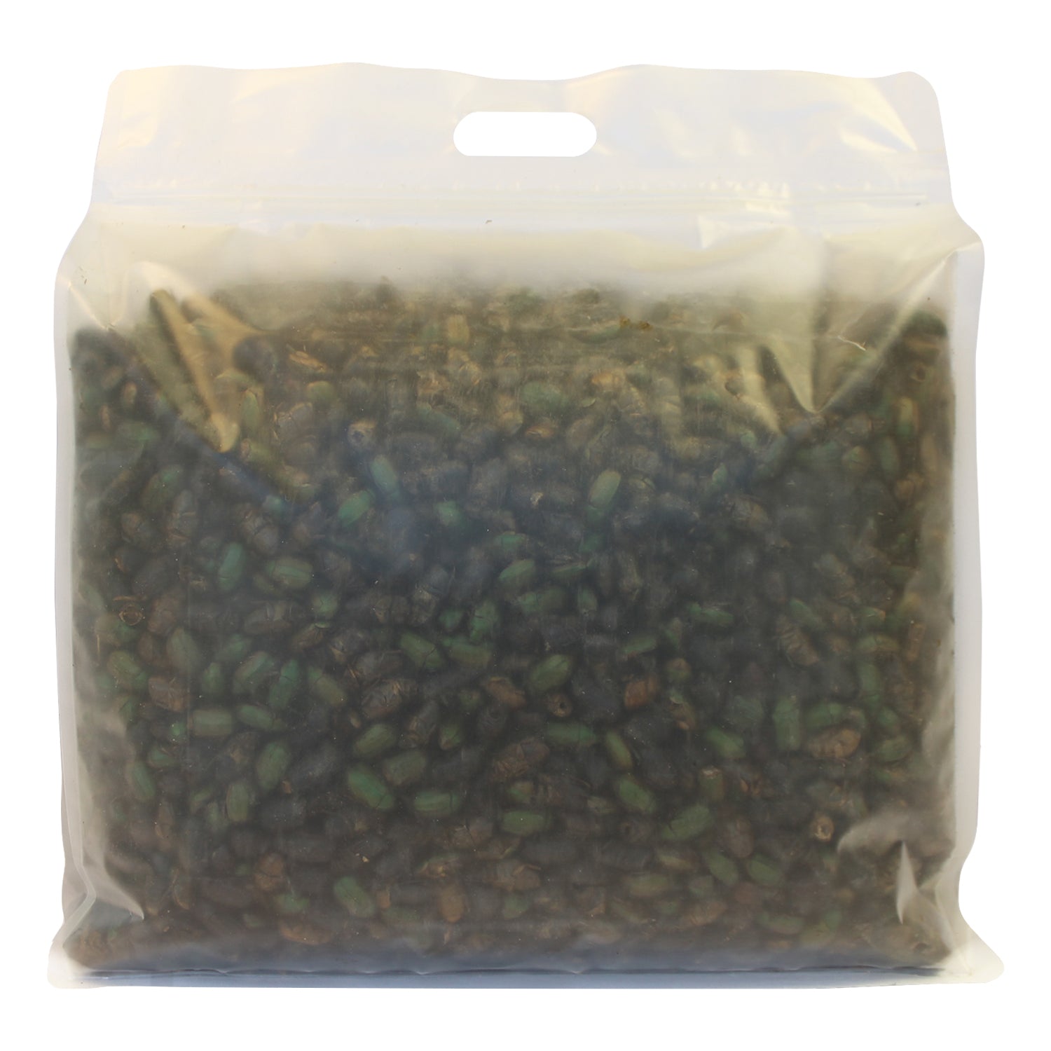 Beetle Craze 2 lb Natural Dried Mealworms - High Protein Reptile & Bird Food for Bearded Dragons, Chickens, Wild Birds - Perfect for Feeding Pets & Wildlife