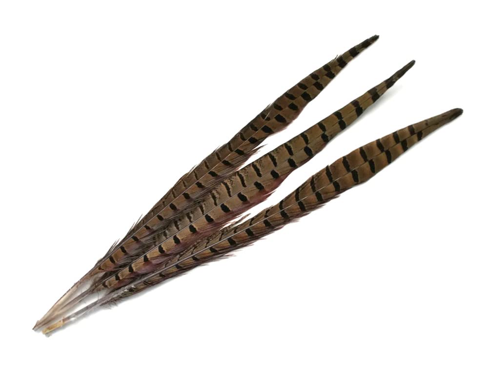 50 Pieces Bulk Natural Brown Ringneck Pheasant Tail Feathers 10-12