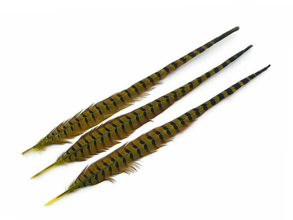 50 Pieces Natural Long Ringneck Pheasant Tail Feathers - Yellow Dyed Bulk Wholesale (18-22