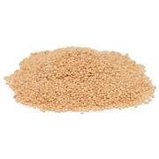 Organic Amaranth Grain Bulk 25 lb Bag - Non-GMO, Gluten-Free Superfood for Baking, Smoothies & Healthy Recipes