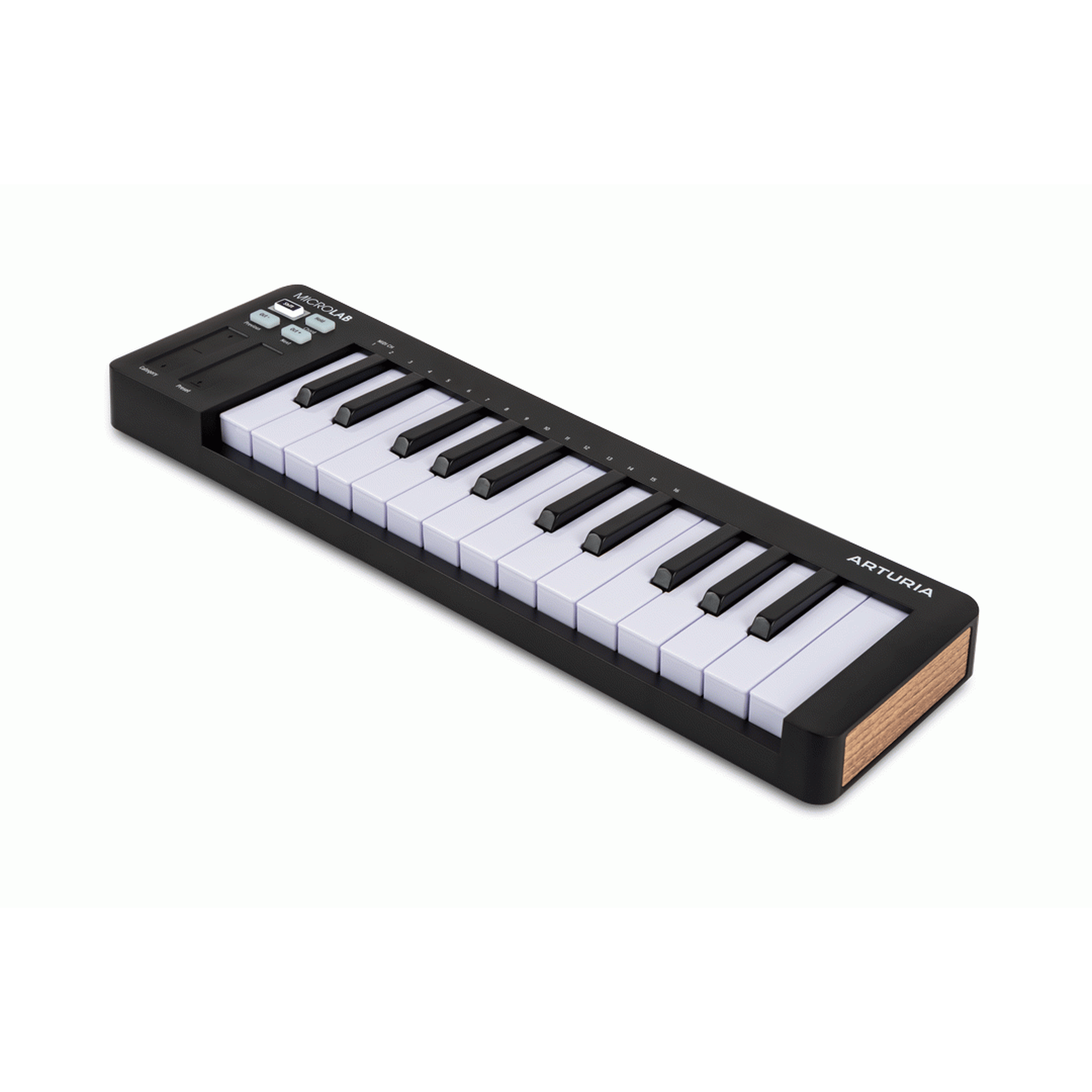 Arturia Microlab 25-Key Mini MIDI Keyboard Controller - Black | Portable USB MIDI Controller for Music Production, DJing & Home Studio Recording