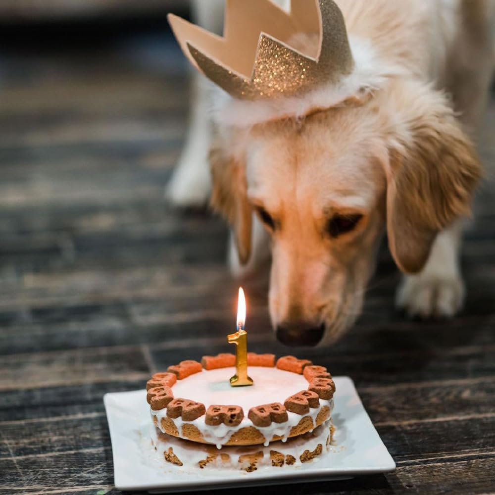 **Puppy Cake - Wheat-Free Dog Birthday Cake Mix with Peanut Butter Flavor & Icing - Easy to Bake or Microwave - Natural Ingredients - Made in USA - Perfect for Dog Parties & Special Occasions**
