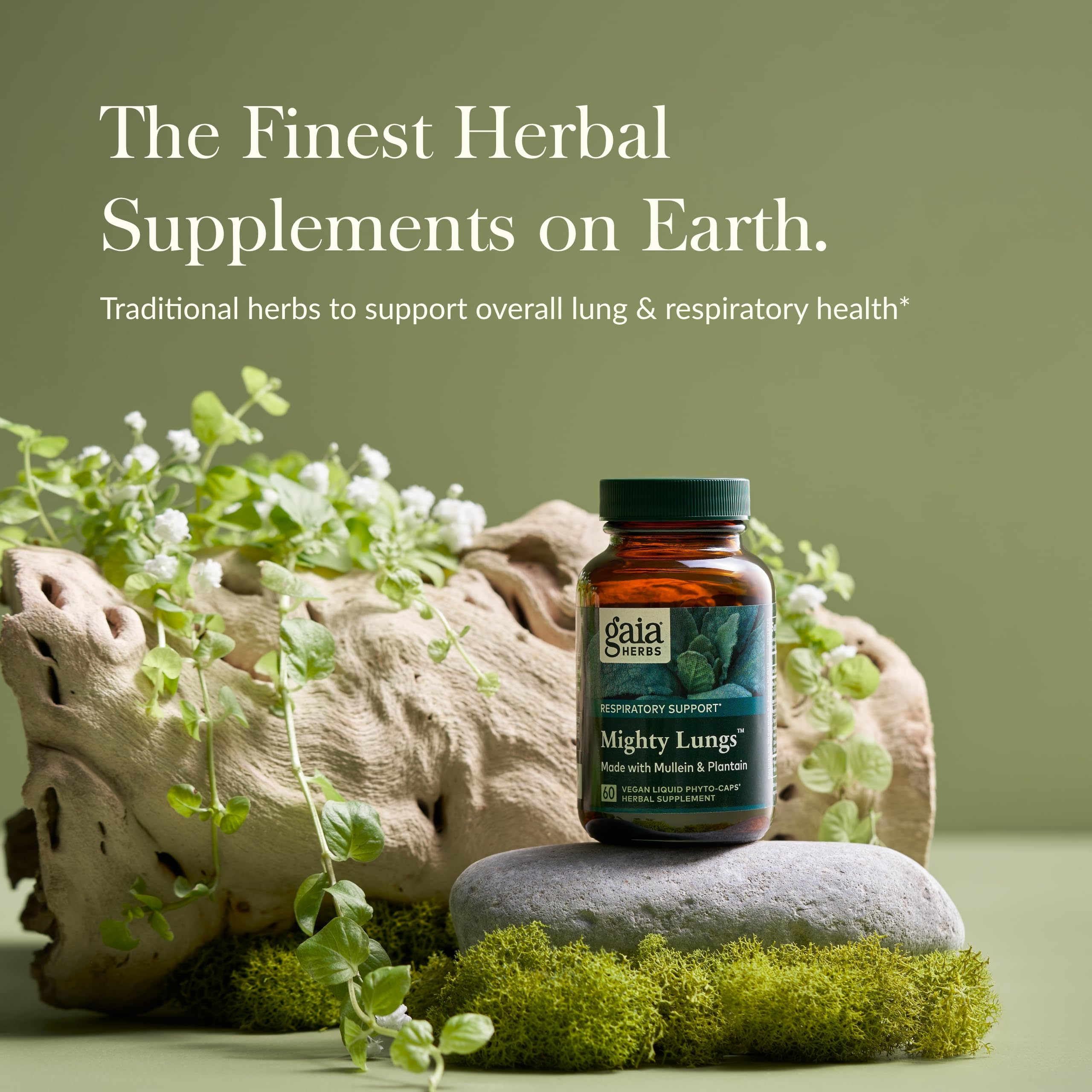 Gaia Herbs Mighty Lungs - Vegan Lung Support Supplement with Mullein, Plantain & Elecampane - 60 Liquid Phyto-Capsules (30-Day Supply) - Promotes Respiratory Health & Breathing Comfort - Ideal for Allergy Season, Smokers & Urban Living