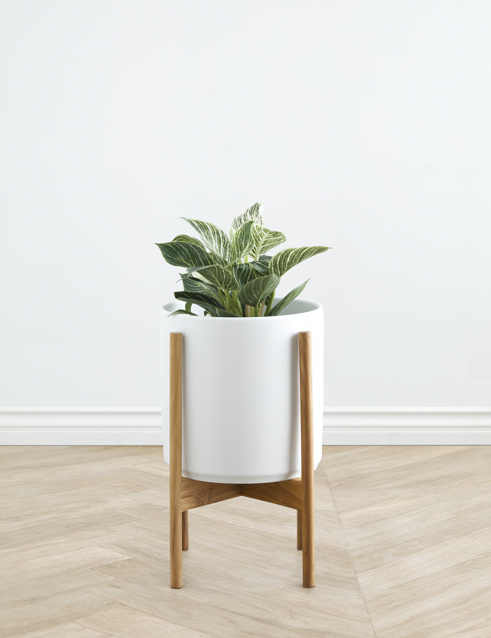 LBE Design Ceramic Planter Pot with Teak Wood Stand - Modern Indoor Outdoor Flower Pot for Home Garden, Patio, and Office Decor