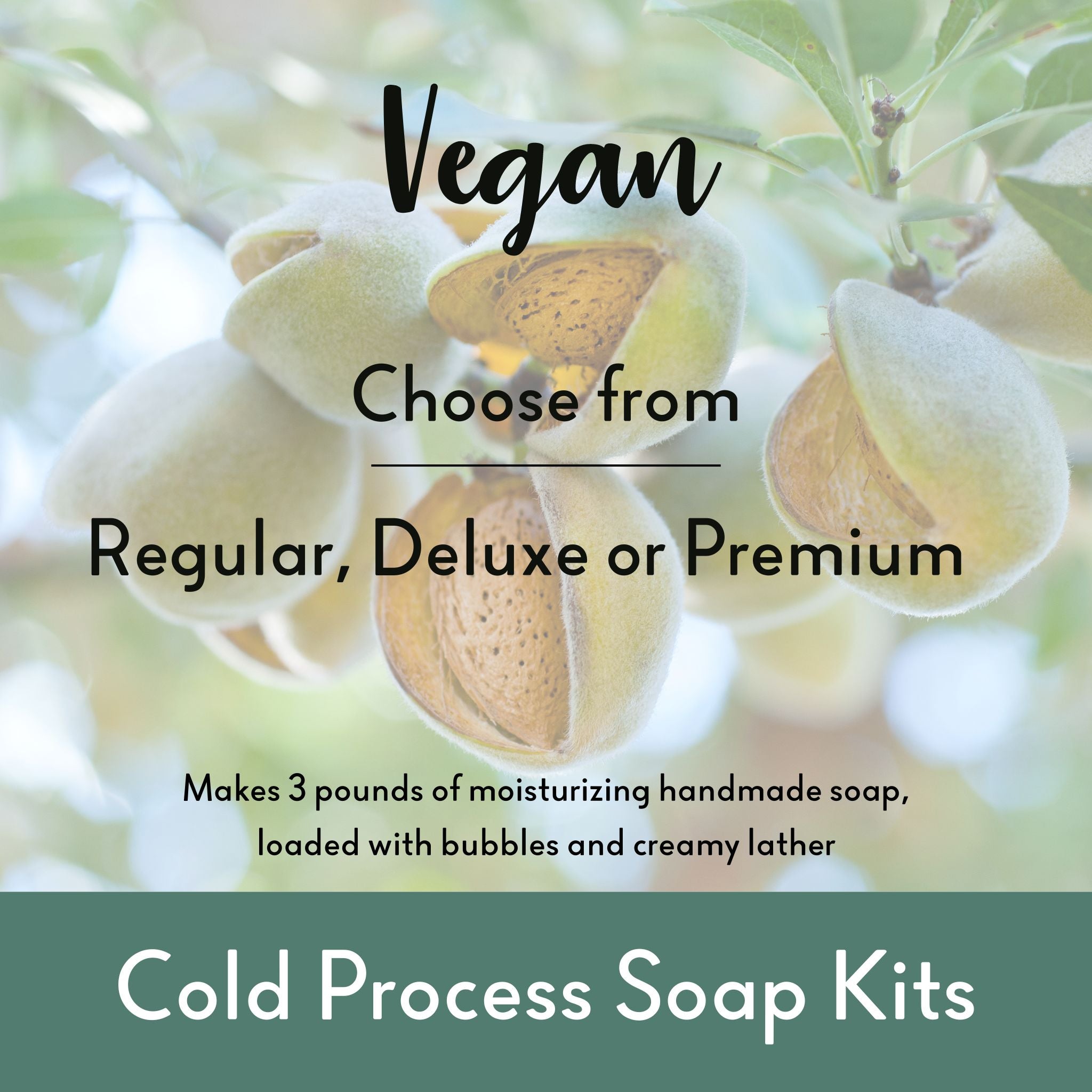 Vegan Cold Process Soap Making Kit - 3+ Pound All-Natural DIY Soap Supplies for Beginners & Crafters | Perfect for Homemade Gifts, Spa Days & Self-Care