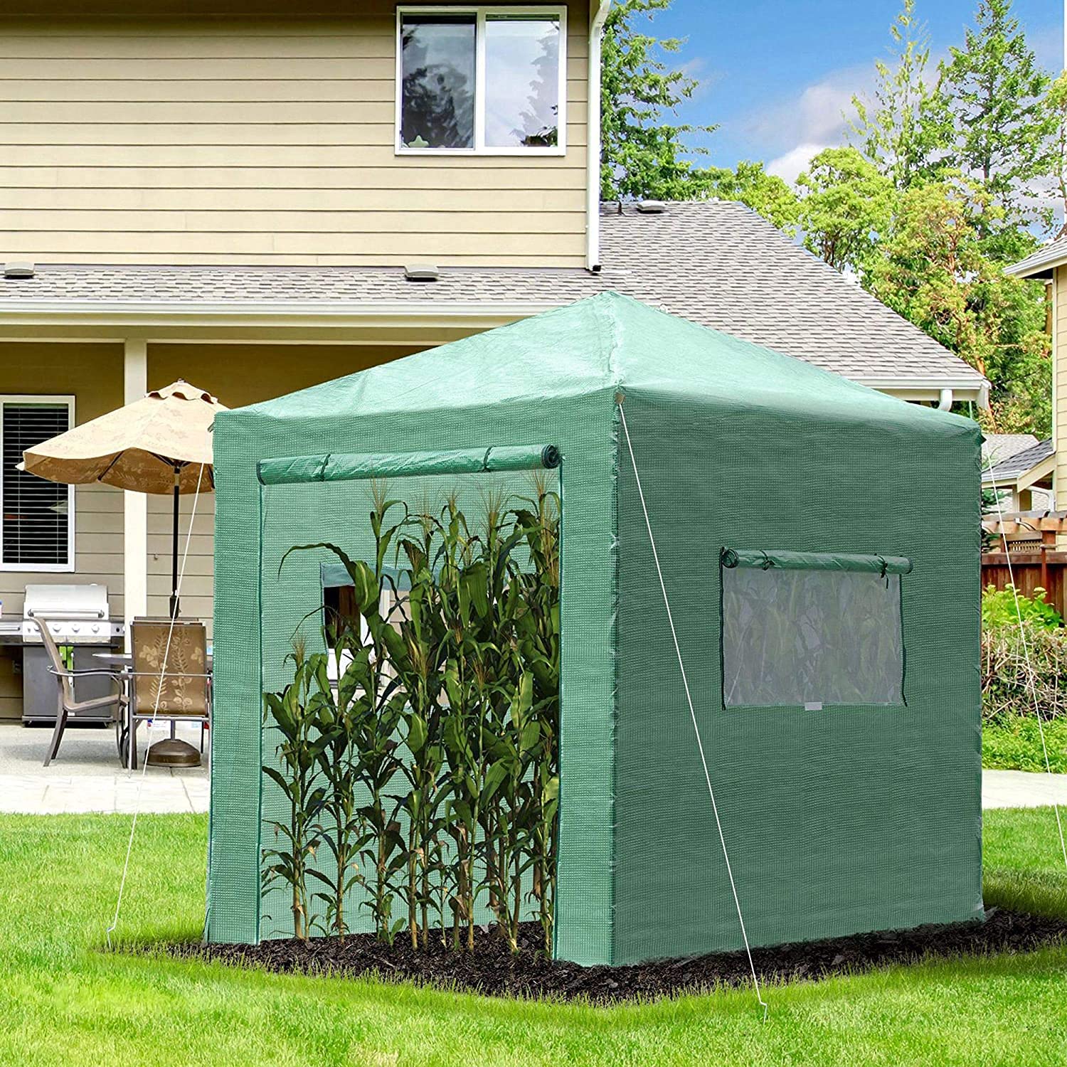 HOMVENT 8' x 6' Portable Walk-in Greenhouse Tent with Entry Doors & Roll-Up Windows - PE Cloth Outdoor Plant Shelter for Garden, Flowers, Vegetables | Perfect for Backyard Gardening, Plant Protection & Seasonal Growing
