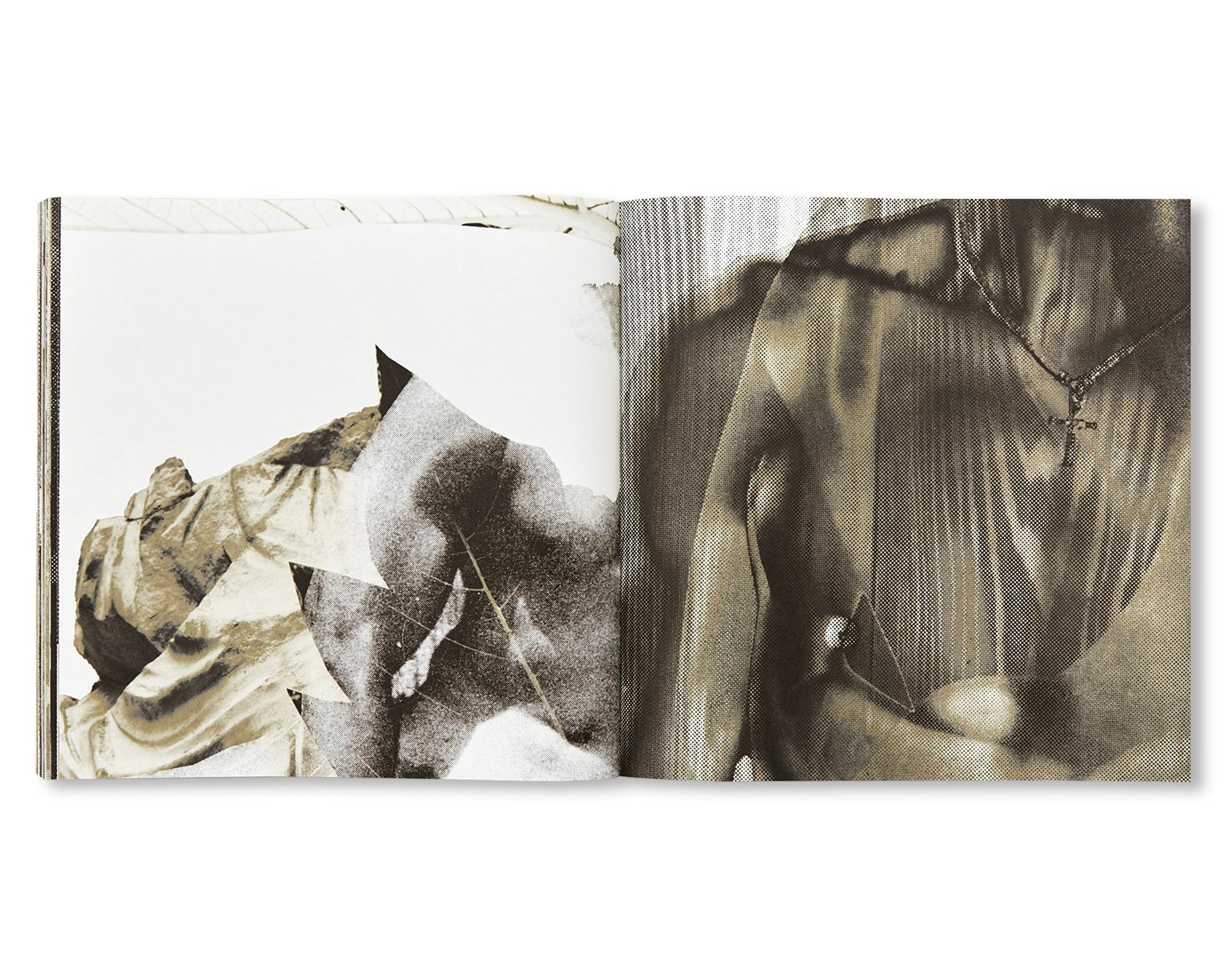 NEW SKIN by Mayumi Hosokura - Signed Photography Book - Perfect for Art Collectors & Contemporary Photography Enthusiasts