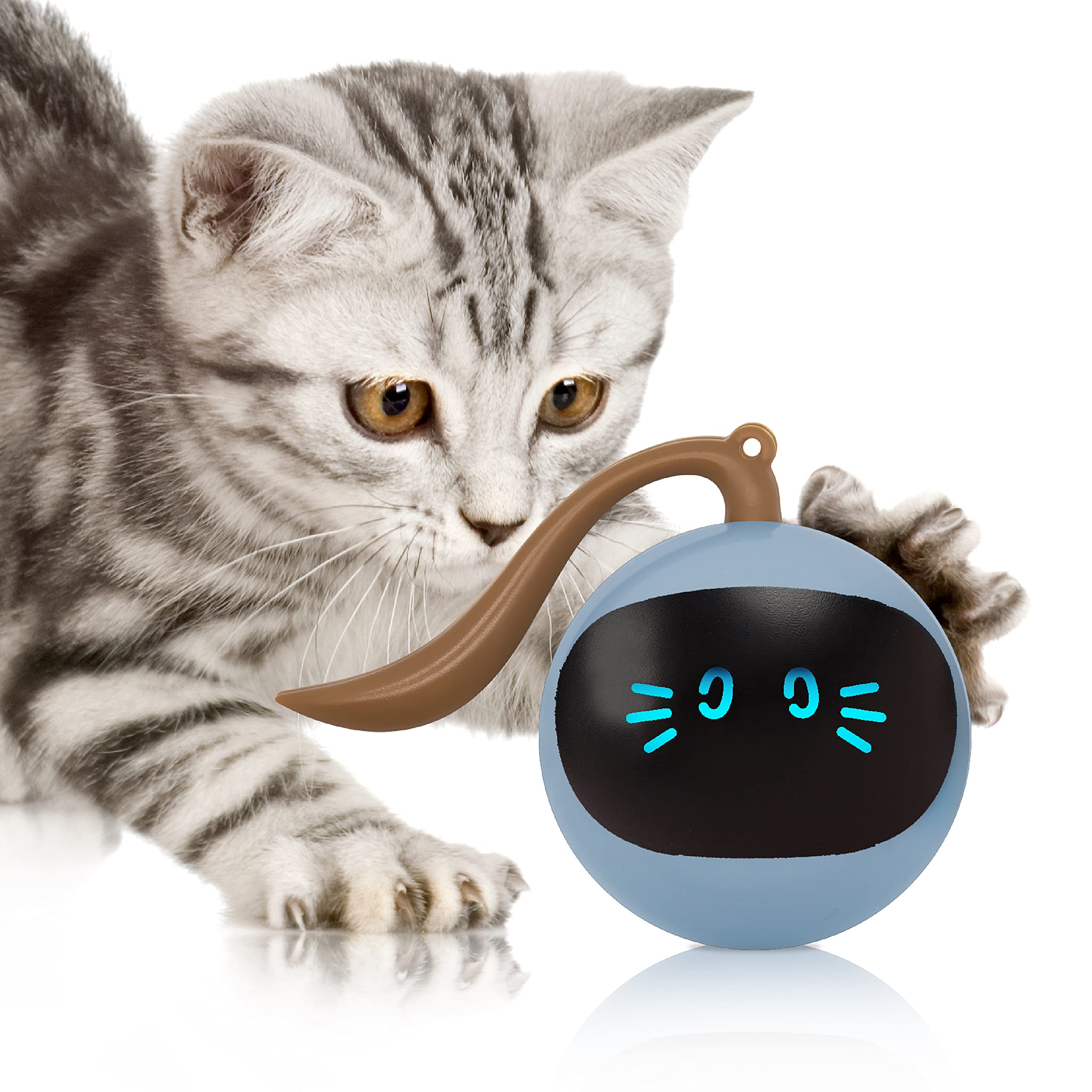 Interactive Cat Toys with 360° Self-Rolling Ball & USB Charging - Hunting Exercise Toys for Kittens, Puppies & Small Dogs - Indoor Play Teaser Wand for Active Pets (Blue) - Perfect for Playtime, Training & Bonding