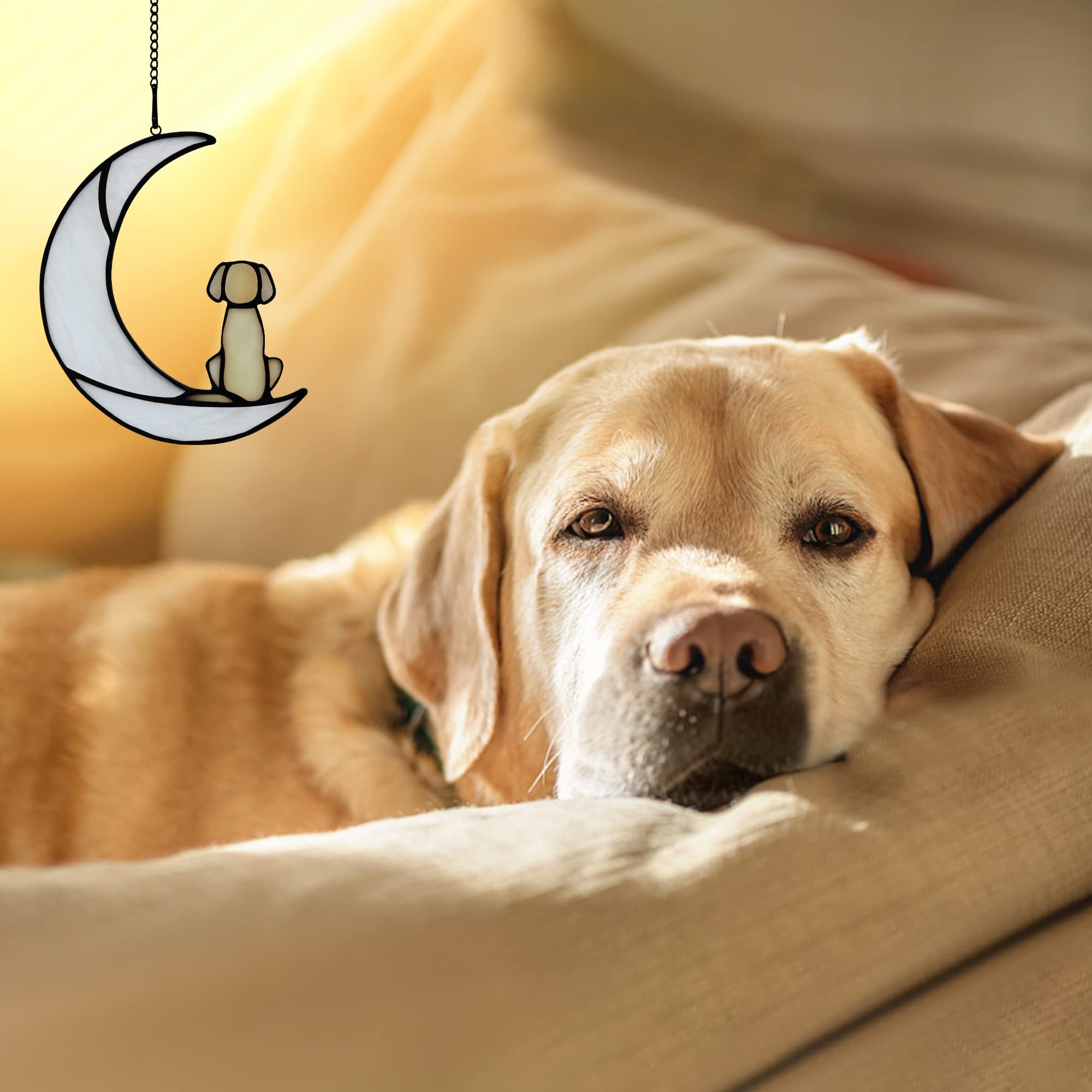 BOXCASA Stained Glass Dog on Moon Suncatcher - Pet Loss Sympathy Gift, Memorial Keepsake for Dog Lovers - Perfect for Windows, Home Decor & Healing After Losing a Beloved Pet