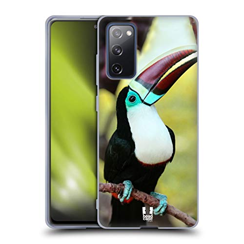 White Throated Toucan