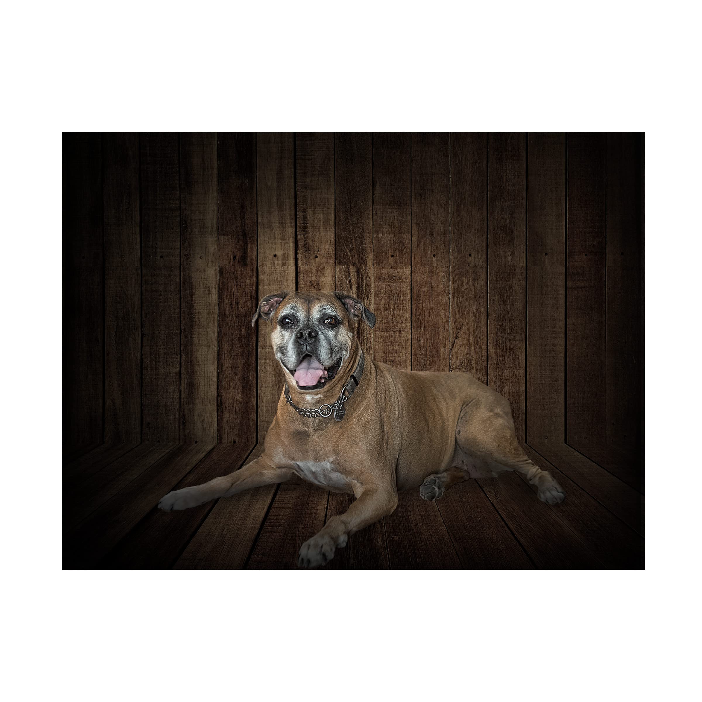 Trademark Fine Art 'Madison' Canvas Wall Art by Lori Hutchison - Elegant Home Decor for Living Room, Bedroom & Office