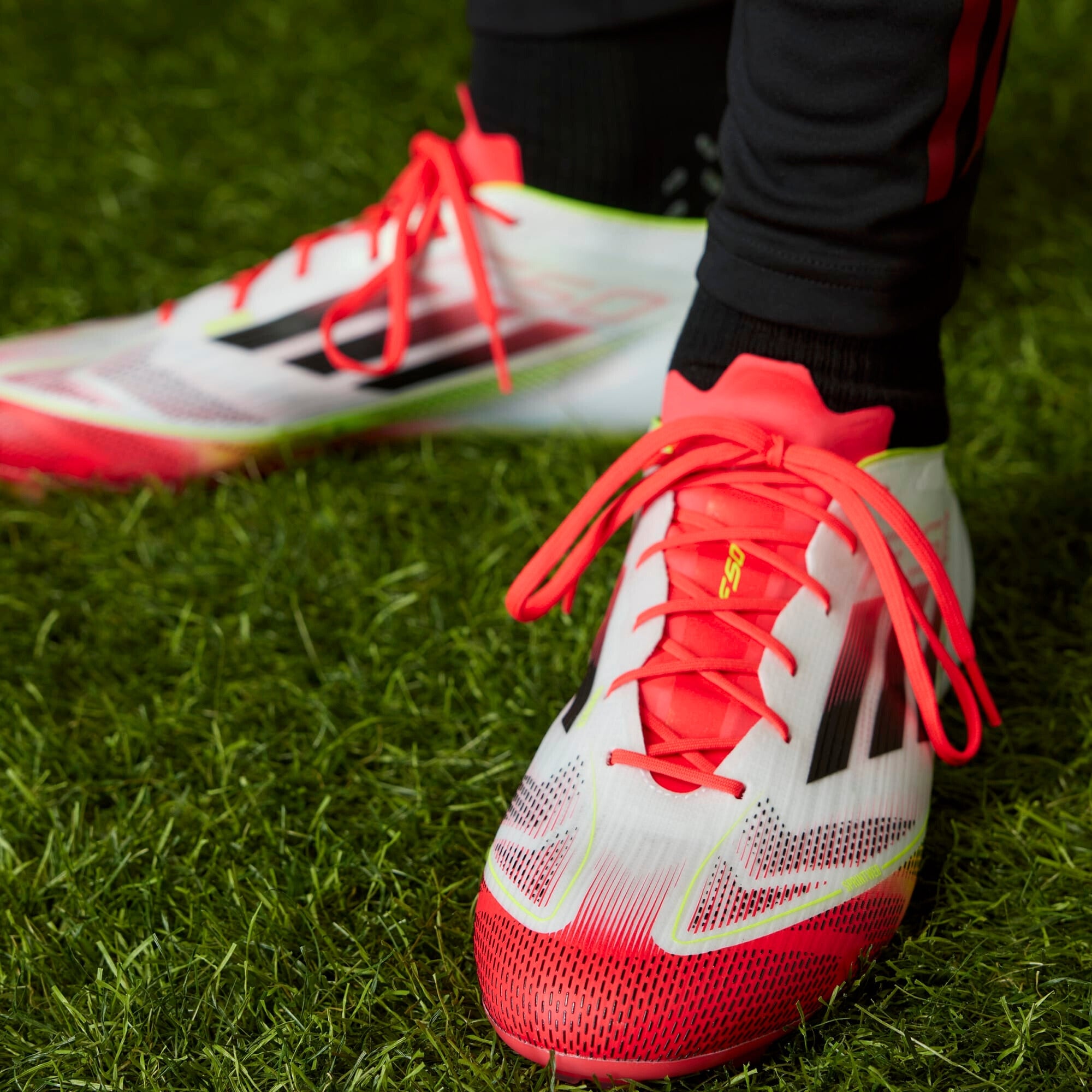 adidas F50 Elite Soccer Cleats - Lightweight Football Shoes for Men & Women - Firm Ground FG Studs - Perfect for Training & Matches
