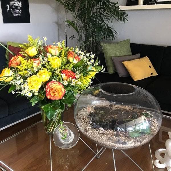 Yellow Ombre Long Stem Roses - Premium Fresh Cut Flowers for Weddings, Anniversaries & Romantic Gifts