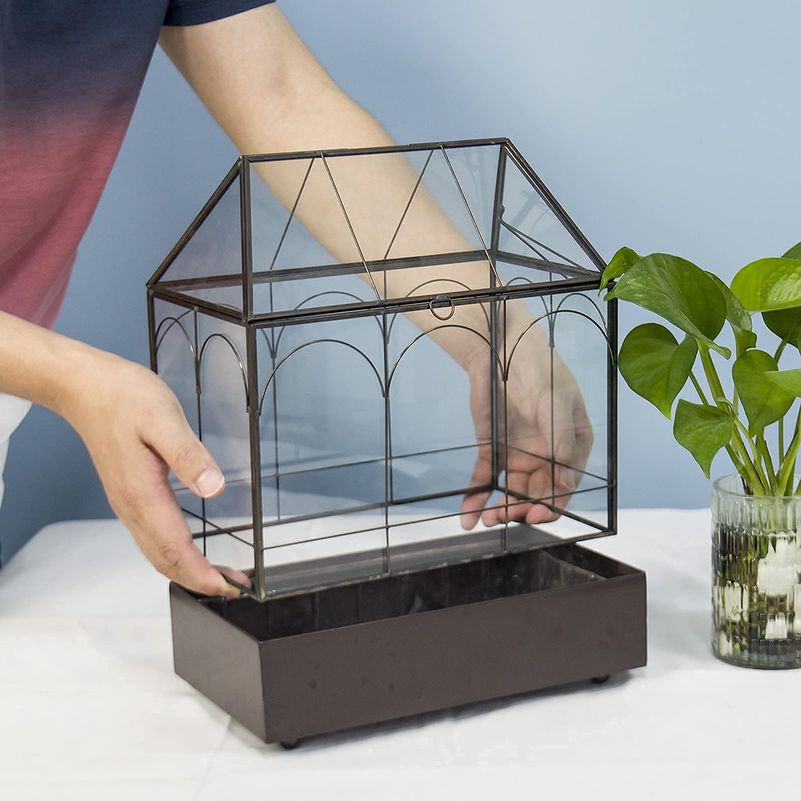 Large Tall Glass Plant Terrarium for Succulents & Air Plants – 9.5”X5.7”X11.4” House Terrarium Kit with Lip and Tray | Perfect for Home Decor, Office Desk & Indoor Gardening