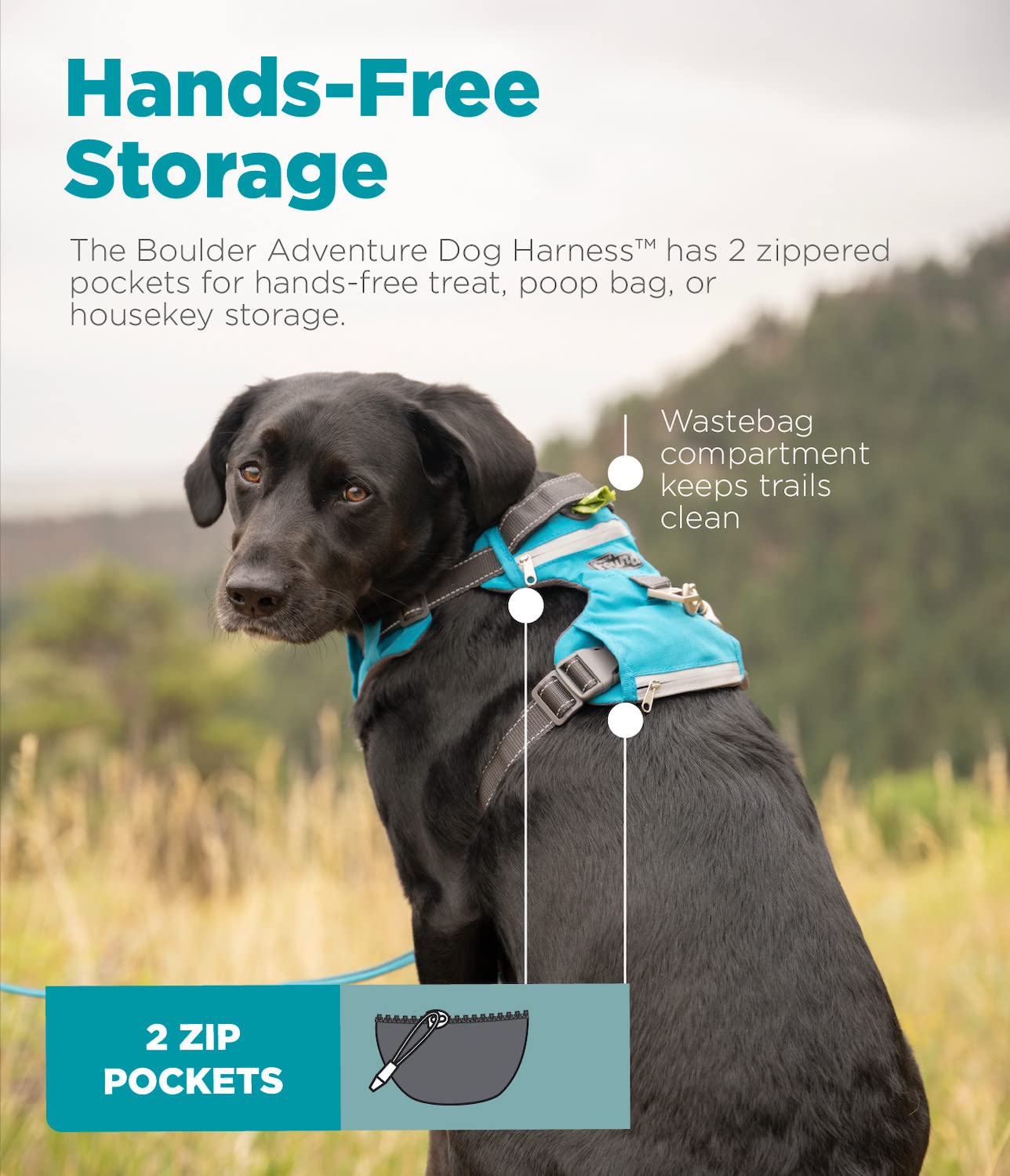 Outward Hound Boulder Adventure Adjustable Dog Harness with Pockets - Turquoise Medium | Durable Pet Walking Gear for Hiking, Running & Outdoor Activities