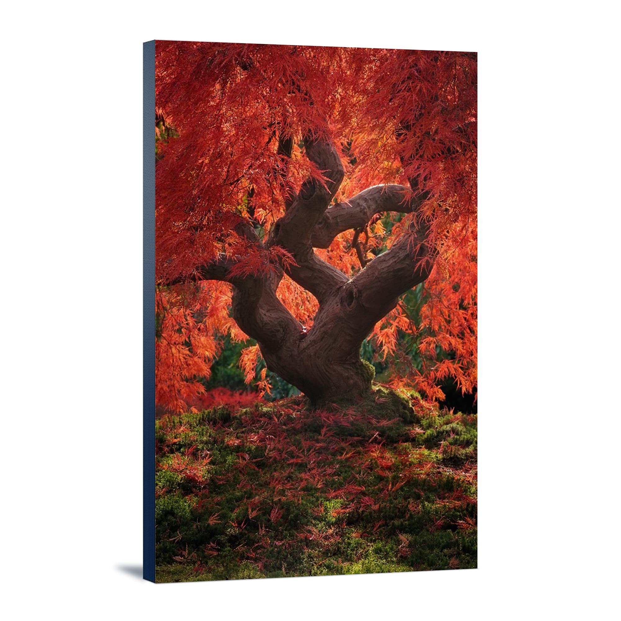 Autumn Colored Dragon Tree Wall Art - 24x36 Inch Gallery Wrapped Canvas Painting - Perfect for Living Room, Bedroom & Office Decor