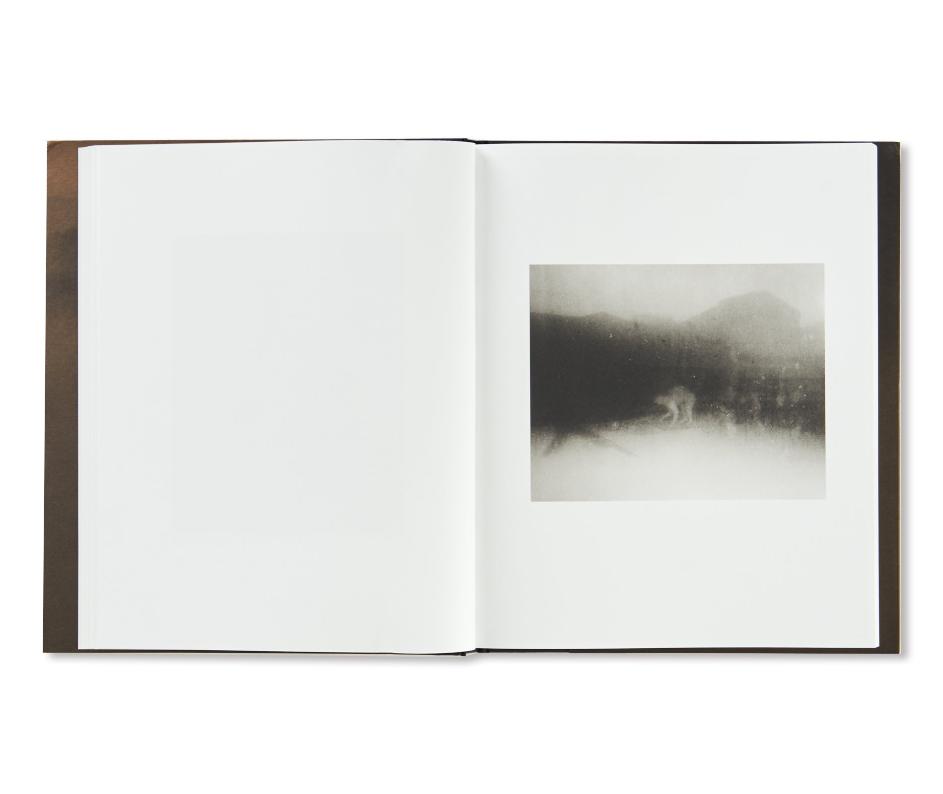 JASPER by Matthew Genitempo - Signed Photography Book | Limited Edition Art Collection | Perfect for Photography Enthusiasts & Home Decor