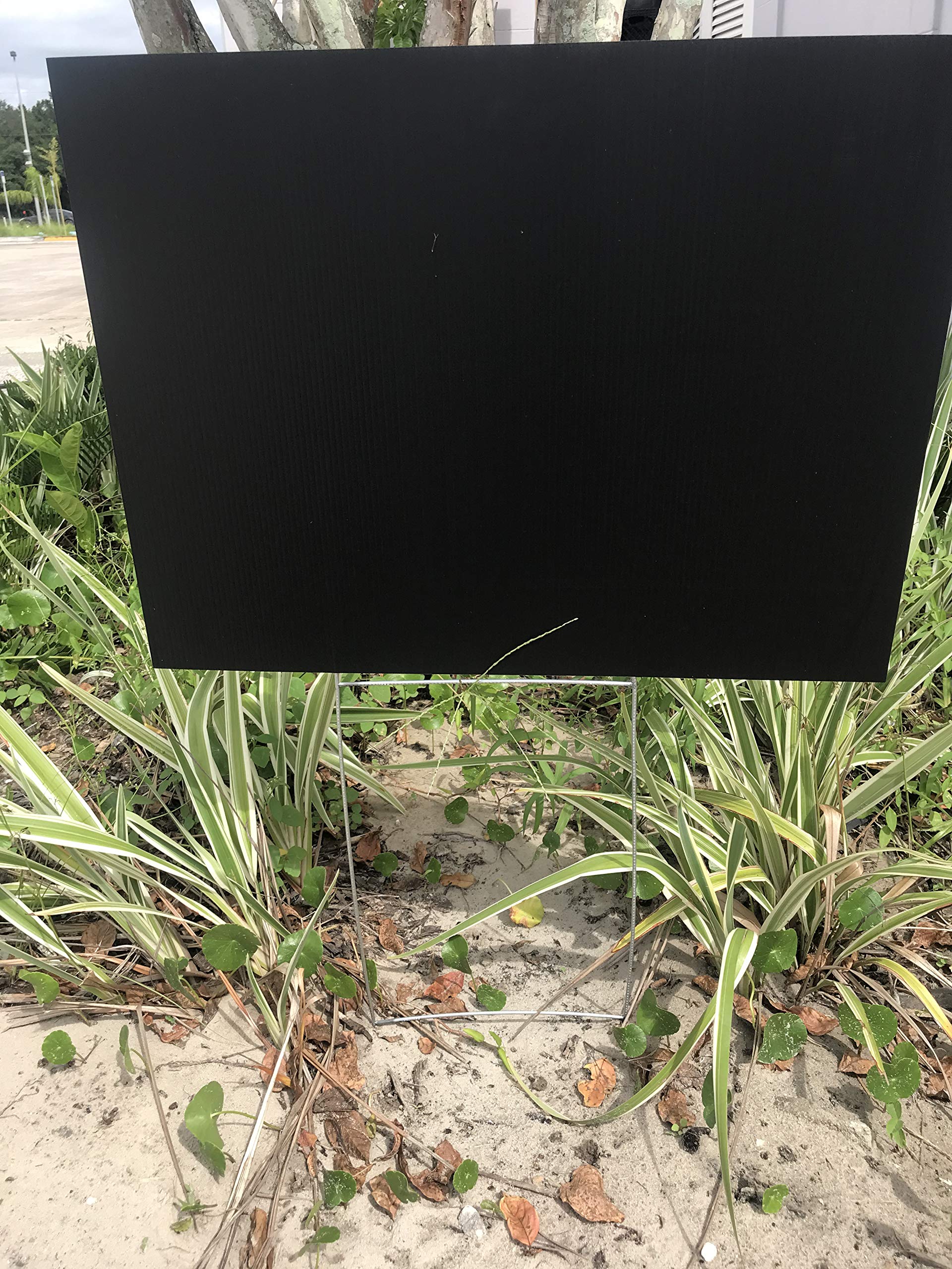 50 Pack Black Corrugated Plastic Yard Signs 18