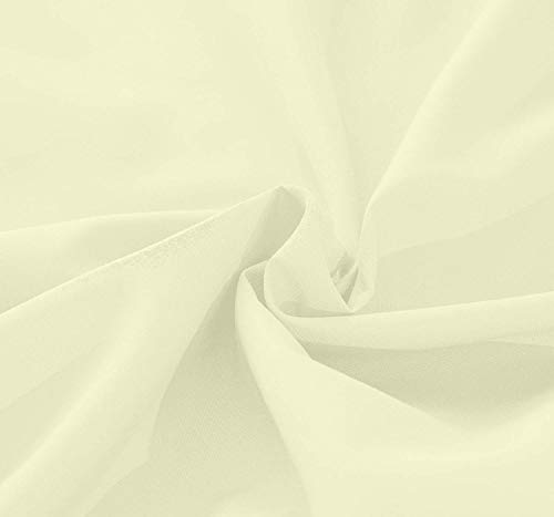 Ivory Solid