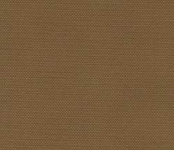 Coyote Brown