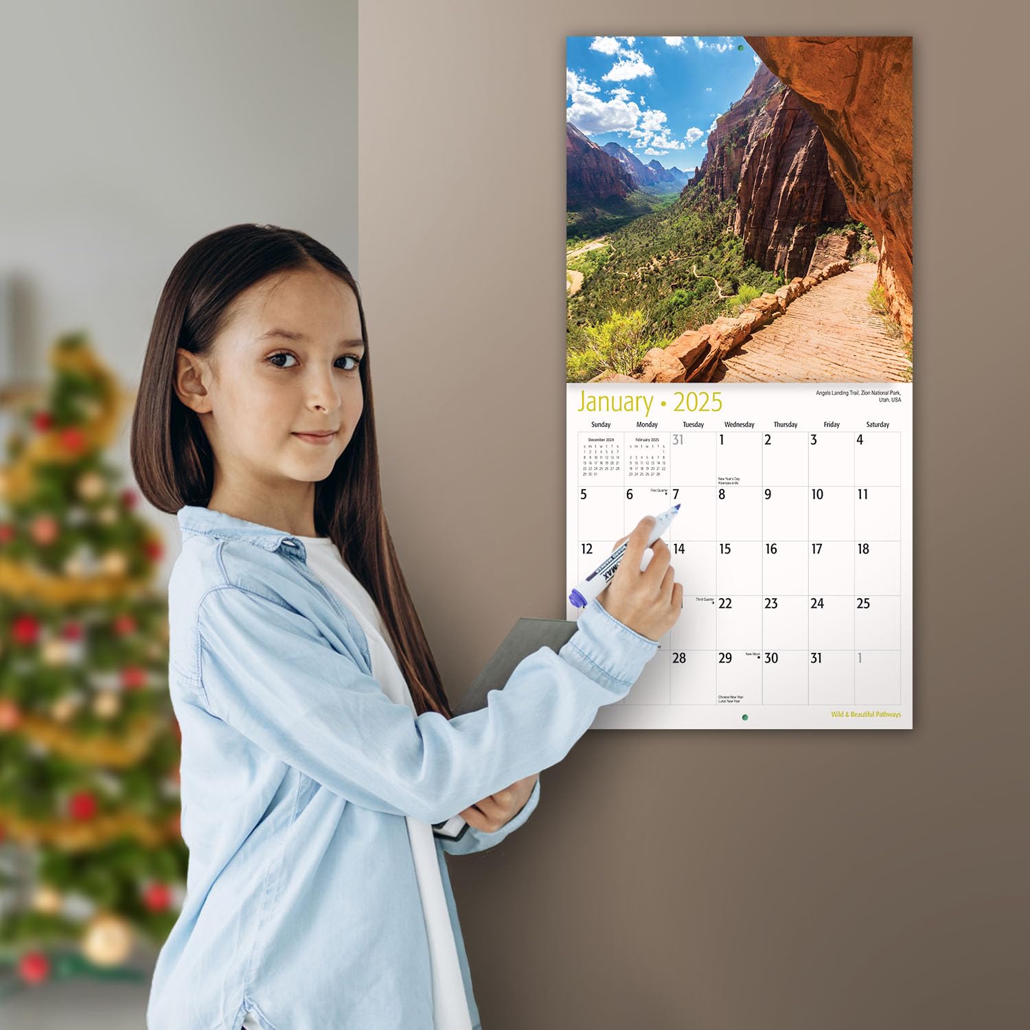 MICASA PRESS - Wild & Beautiful Pathways 2025 Wall Calendar | 12