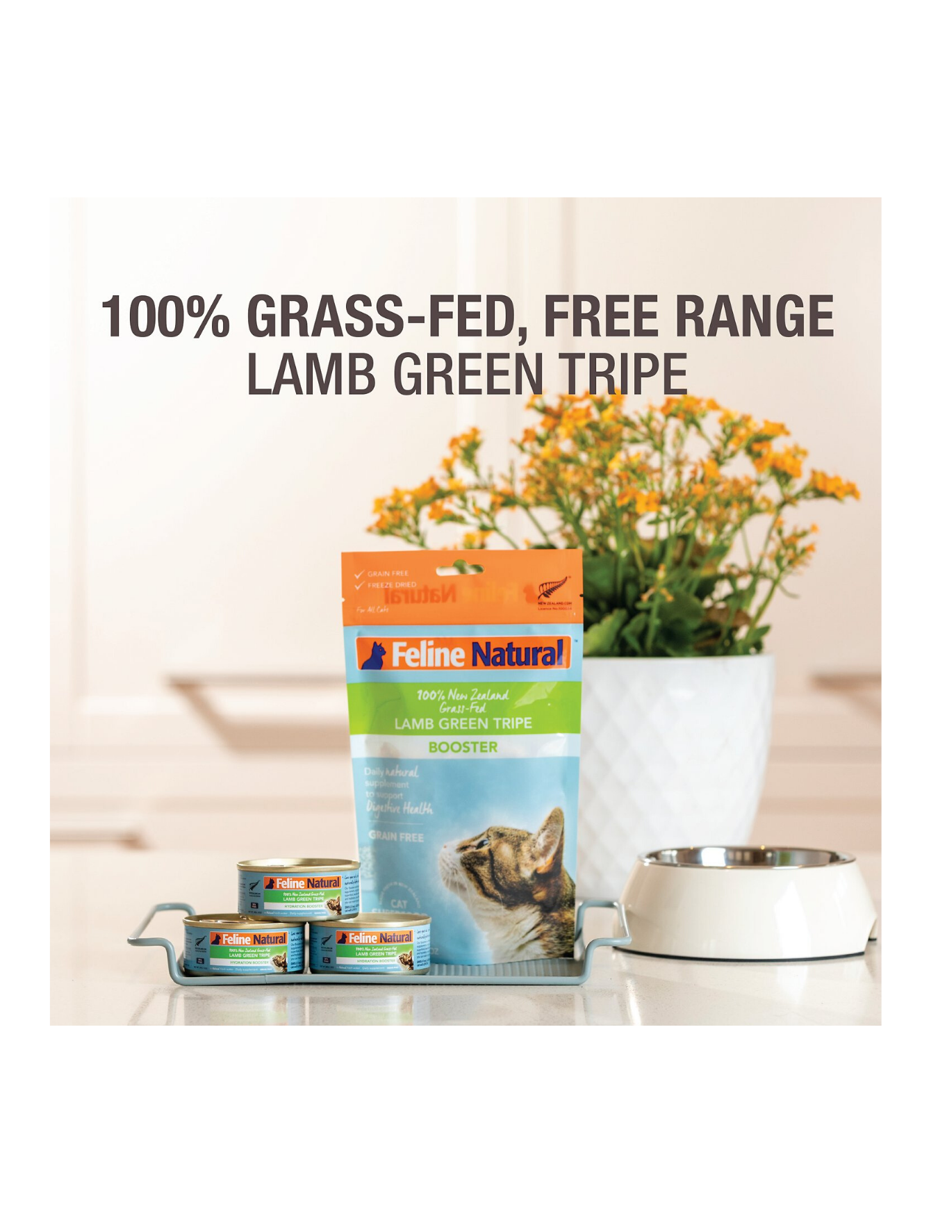 Feline Natural Freeze Dried Lamb Green Tripe Booster Topper for Cats - 57g High Protein Grain-Free Cat Food Topper - Perfect for Picky Eaters & Digestive Health