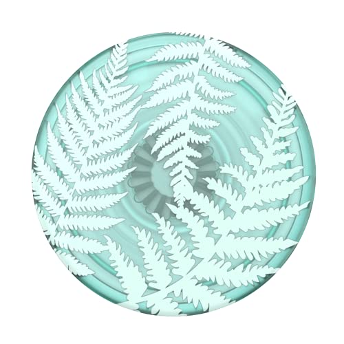 Fern