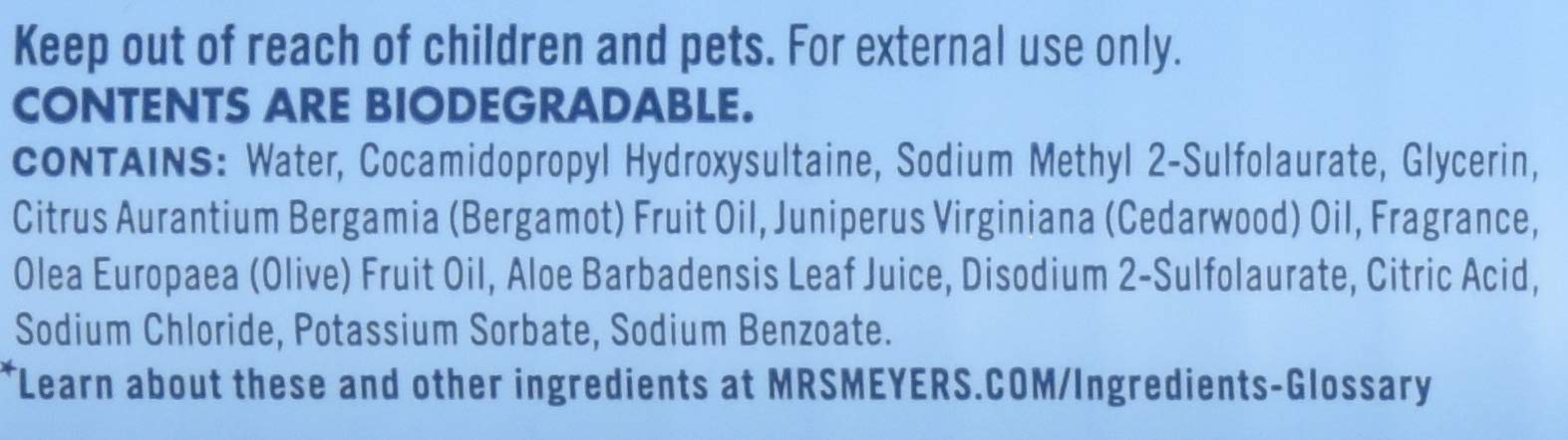 Mrs. Meyer's Clean Day Hand Soap with Essential Oils | Biodegradable, Rain Water Scent | 12.5 fl oz (Pack of 6) | Gentle for Daily Hand Washing, Kitchen & Bathroom Use