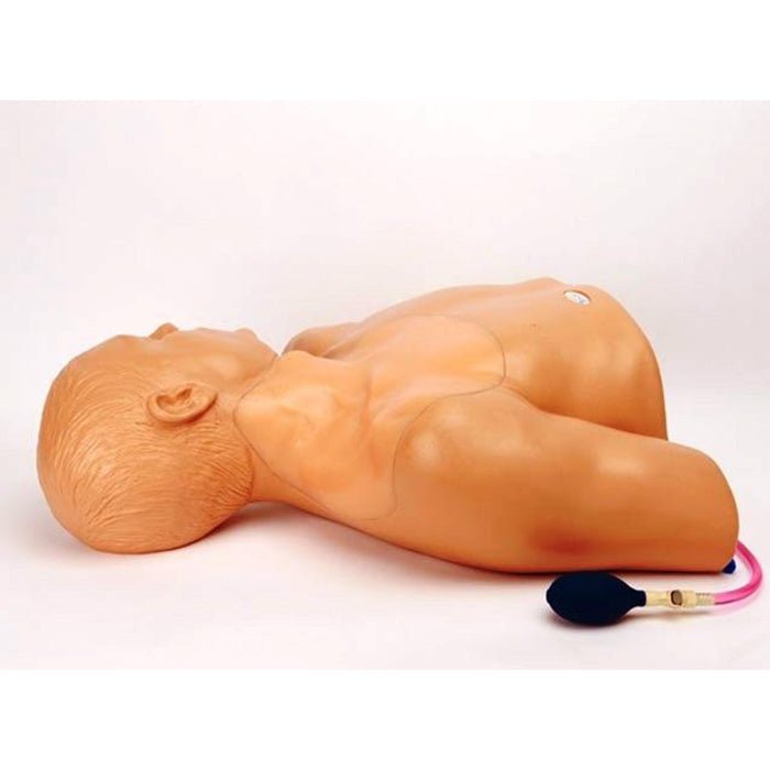 Gen II Ultrasound Central Line Training Model - Medical Simulation Kit for IV Insertion Practice - Perfect for Nursing Students, Doctors & Healthcare Professionals