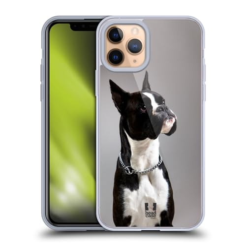 Black And White Dog Boxer