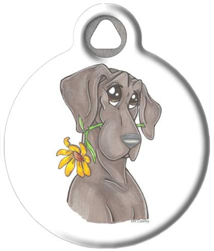 Blue Great Dane