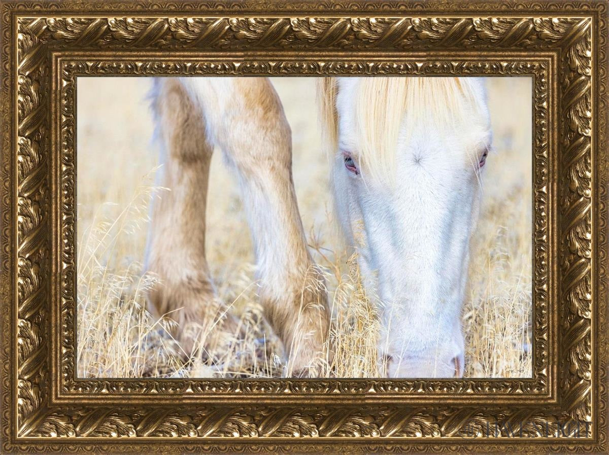 Dry Grass by Greg Sargent - Premium Handcrafted Home Decor for Rustic & Farmhouse Style - Perfect for Wall Art, Shelf Displays & Cozy Living Room Decor