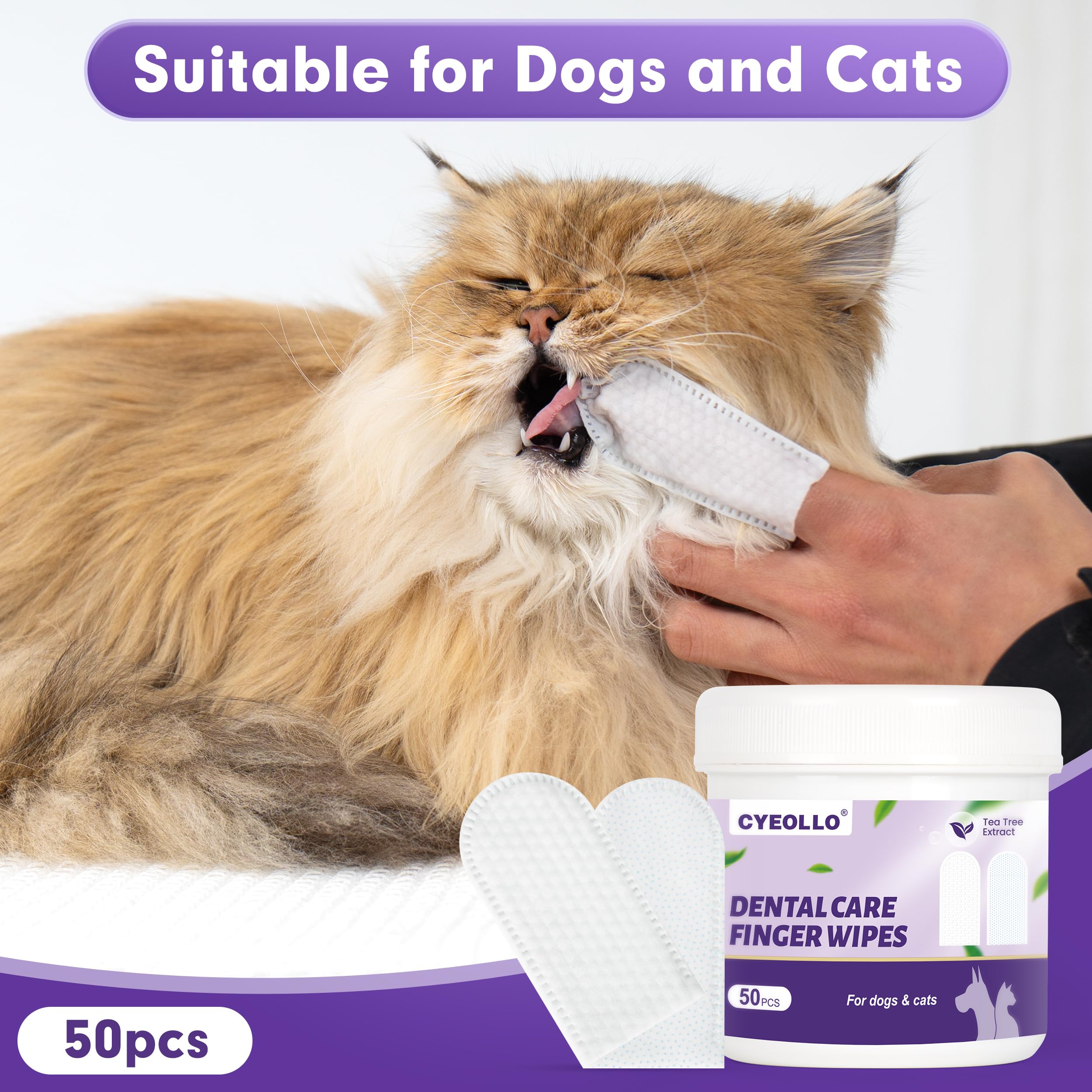 Cyeollo Dog Dental Wipes for Teeth Cleaning - 50 Count Pet Finger Wipes to Reduce Plaque & Tartar, Freshen Breath - No-Rinse Toothbrush Alternative for Dogs & Cats - Gentle Gum Care for Daily Oral Hygiene at Home or Travel