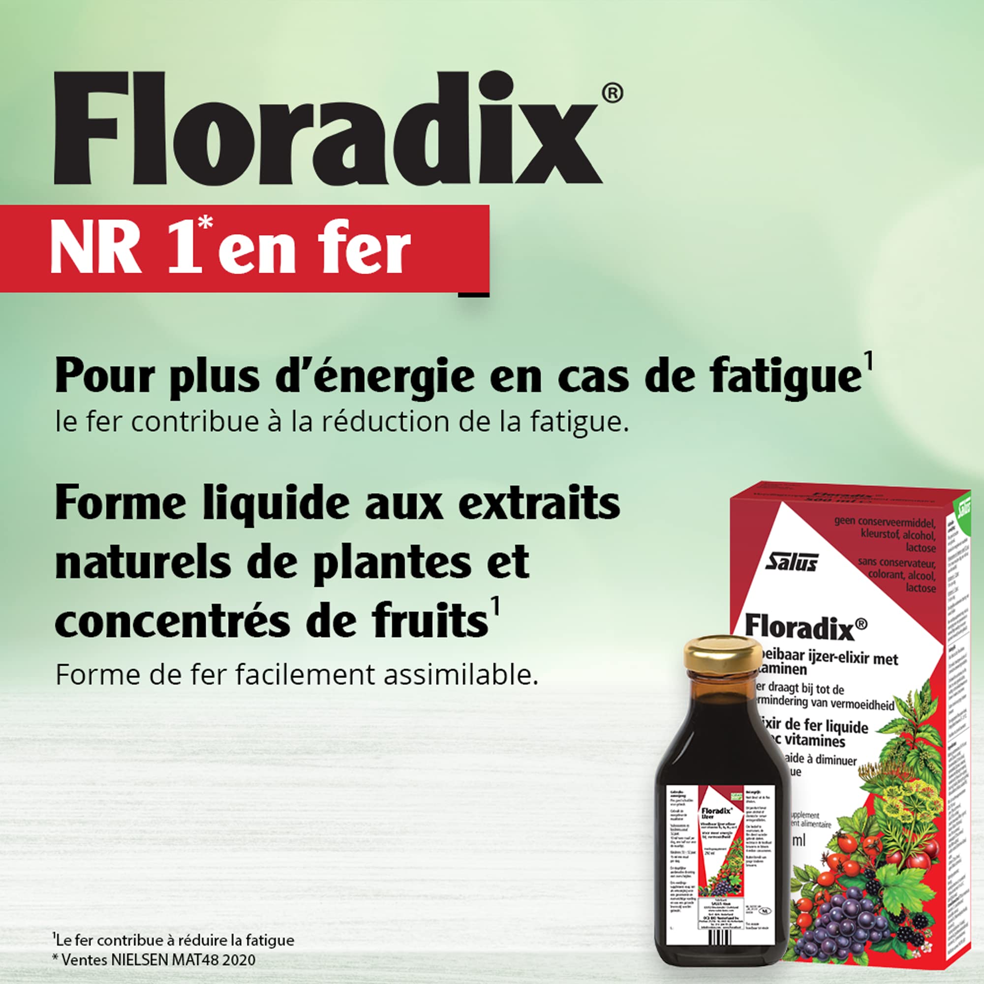 Floradix Liquid Iron & Vitamin Supplement - 250ml | Herbal Iron Formula for Energy & Vitality | Supports Healthy Blood & Immune System - Perfect for Adults & Teens with Low Iron Levels