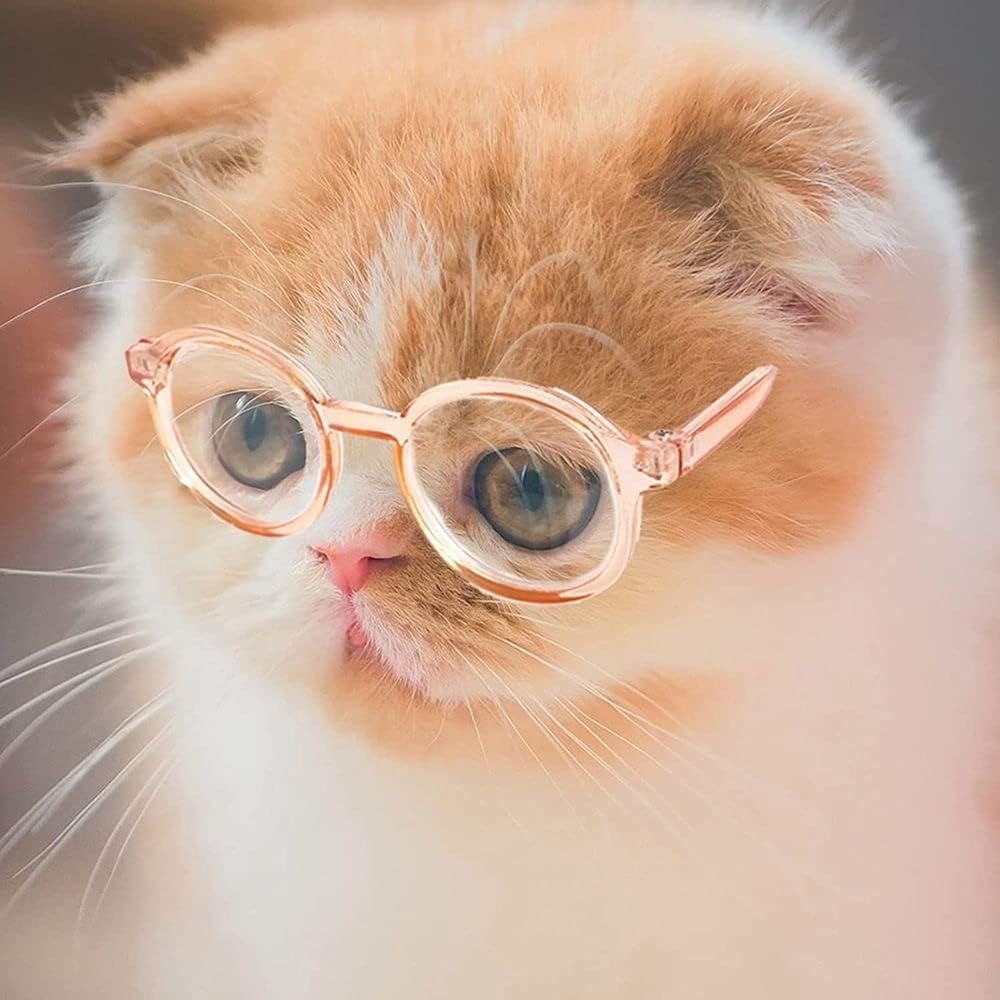 Cute Pet Sunglasses for Dogs & Cats - Clear Lens Retro Style for Cosplay & Photos