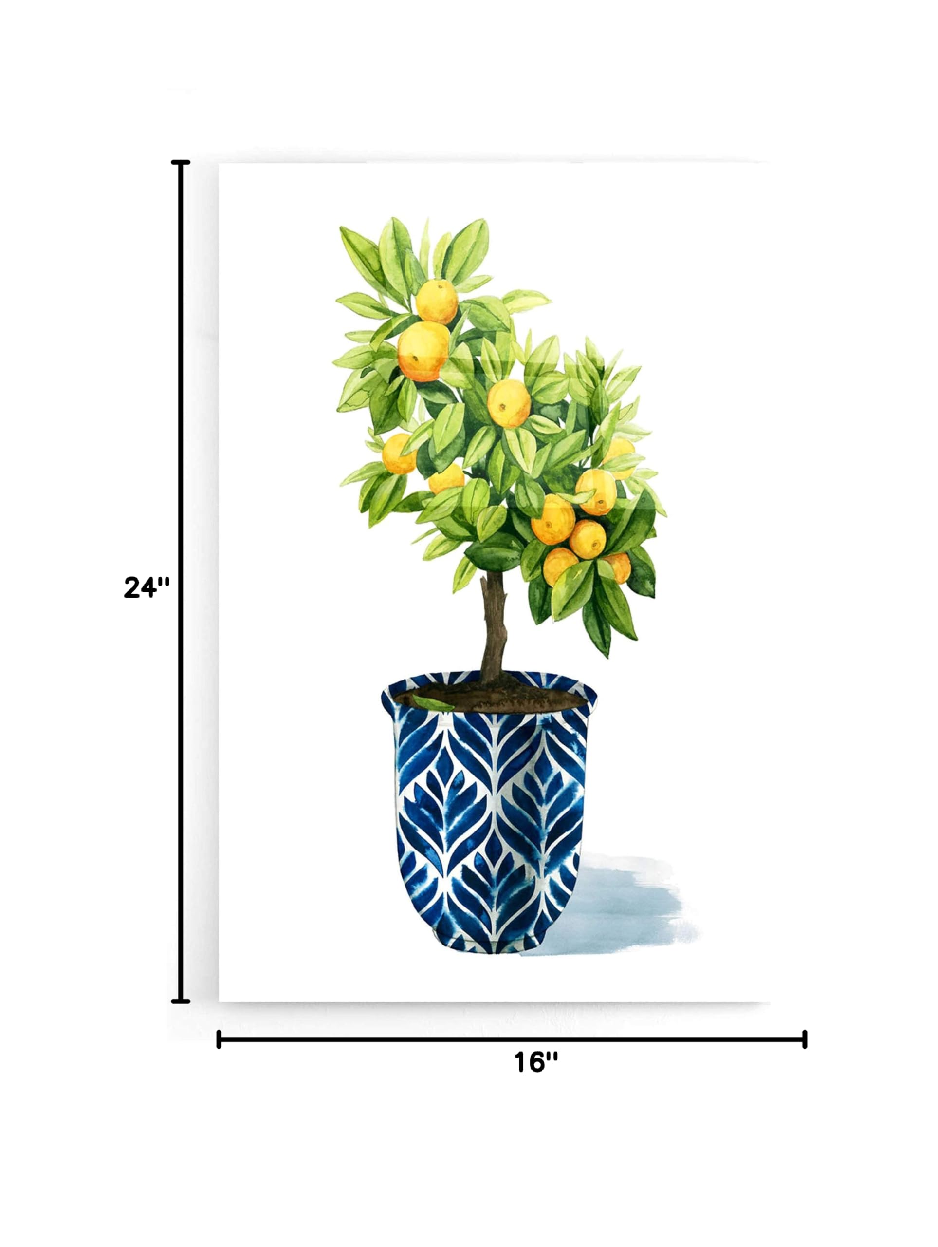 Grace Popp 'Fruit Tree I' Acrylic Glass Wall Art - 16x24 Inches Modern Home Decor - Perfect for Living Room, Bedroom & Office Decorations