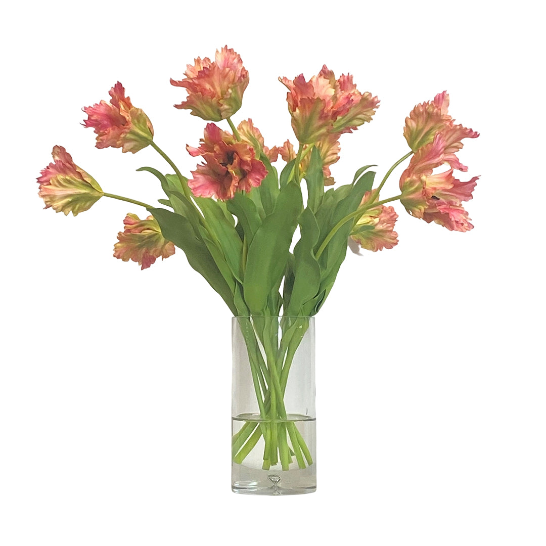 Mendocino Parrot Tulip Bulbs - Exotic Colorful Spring Flowers for Garden Planting & Landscaping | Perfect for Borders, Beds, and Cut Flower Arrangements