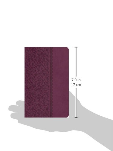 KJV Holy Bible Leathersoft UltraSlim - Classic Plum for Daily Devotion & Travel