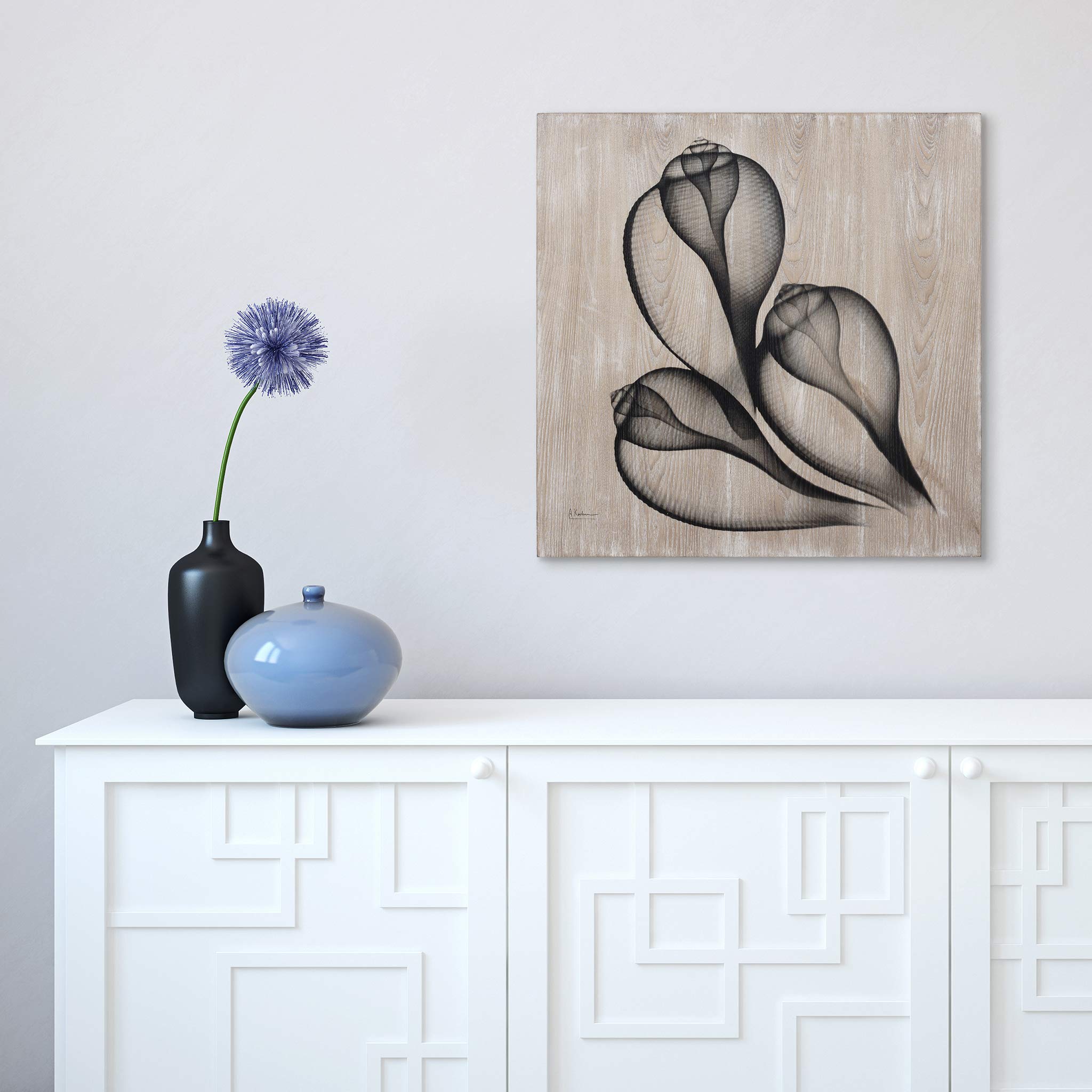 Coastal Serenity II Wall Art - X-Ray Photo Giclee Print on Hand-Finished Ash Wood - 24x24 Inches Ready to Hang - Modern Beach Decor for Living Room, Bedroom & Office - Perfect for Coastal, Boho & Farmhouse Style Homes
