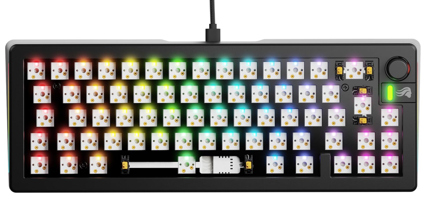 Glorious GMMK 3 65% Customizable Mechanical Gaming Keyboard - Hot Swappable MX Switches, Modular Gaskets, Aluminum Plate, Sound Dampening Foam, ISO/EU Layout - Black | Perfect for Esports, Streaming & Office Work