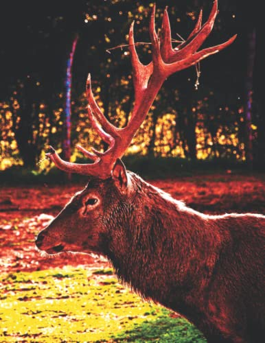 Elk & Deer Themed College Ruled Composition Notebook - 8.5 x 11 Inches, 120 Pages for School, Office & Journaling - Nature Inspired Writing Journal for Students & Professionals