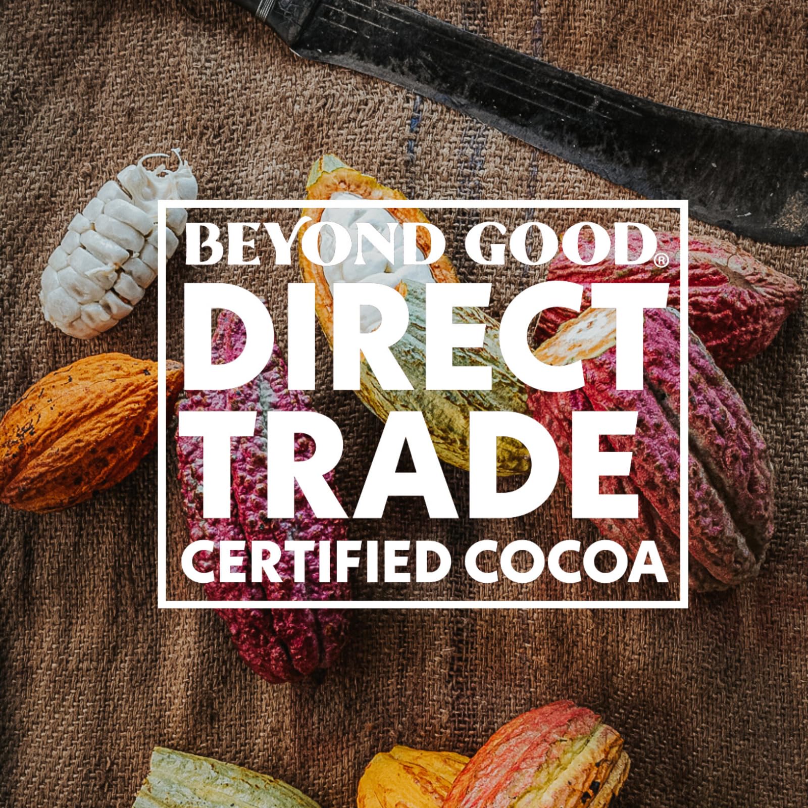 Beyond Good Organic Dark Chocolate Bars 12 Pack | Single Origin Uganda 92% Dark Chocolate | Vegan, Kosher, Non-GMO, Direct Trade | Perfect for Gifts, Baking & Healthy Snacking