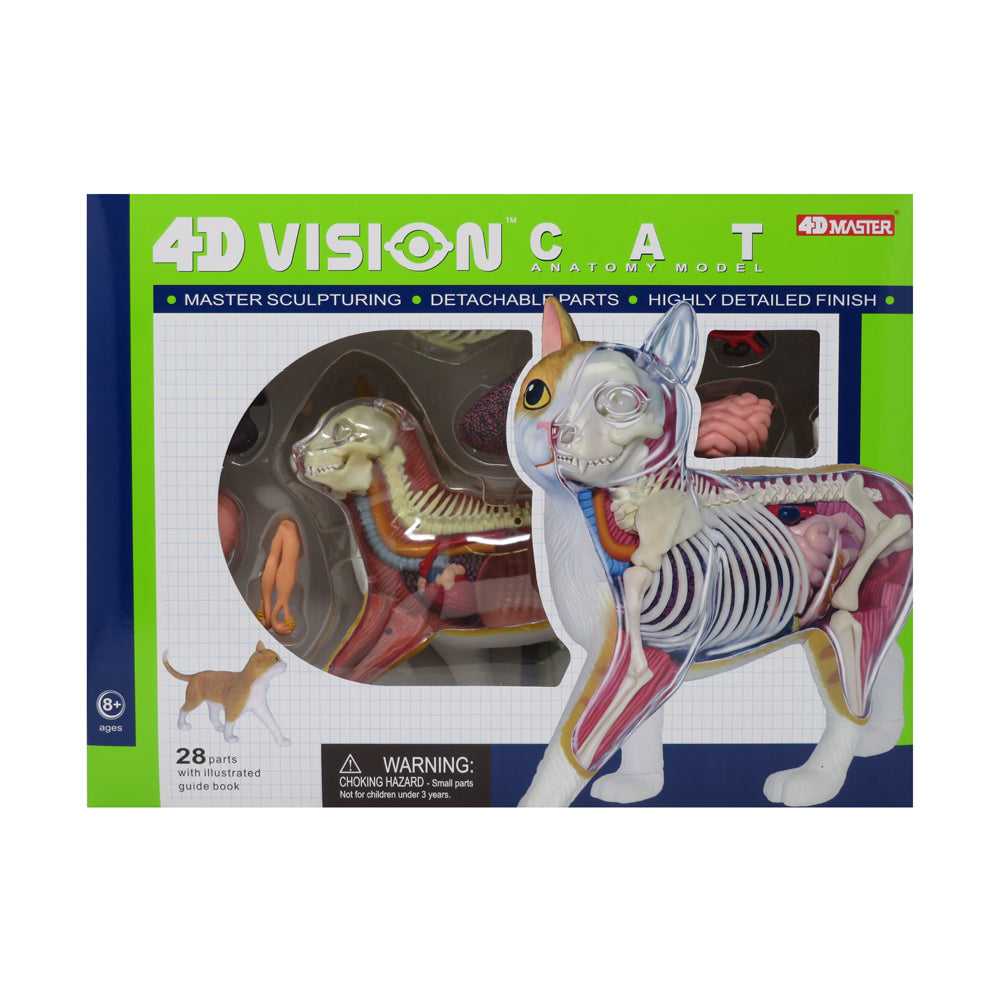 4D Vision Orange Cat Anatomy Model - Educational Science Toy for Kids, Veterinary Students & Animal Lovers - Perfect for Classroom Learning & STEM Education