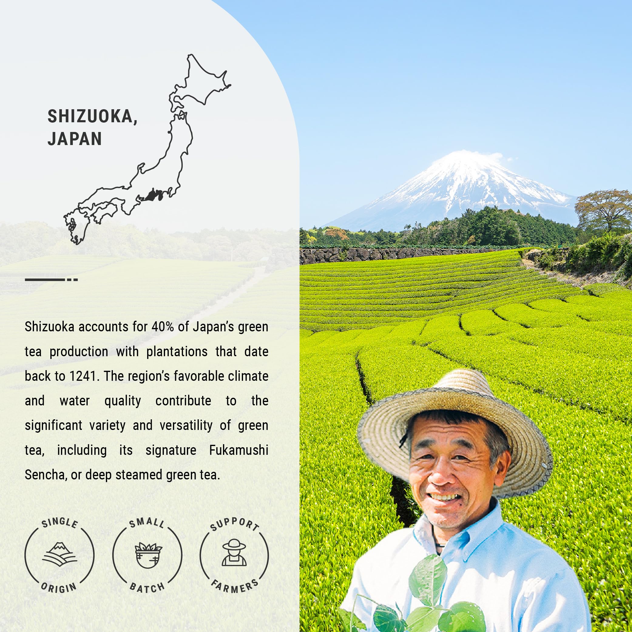 Organic Hojicha Japanese Roasted Green Tea - Premium Loose Leaf Tea from Shizuoka, Japan - 1.76oz/50g in Airtight Tin - Perfect for Relaxation, After Dinner or Cold Weather Warmth